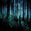 LetandreOne、Ivylake、Dweeb、Brenky - Florida (feat. Ivylake soho Dweeb & Brenky)