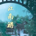 缦纱贝塔、仙人球花、倾颜 - 江南游