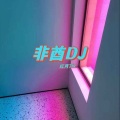 非酋 (DJ)