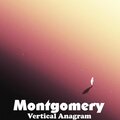 Montgomery - Apparitions Of Downtown