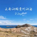 DJxya - 云南的烟贵州的酒 (DJ版)