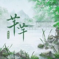 回音哥 - 芊芊