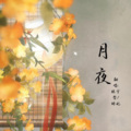 妃颜、林宇哲 - 月夜 (妖扬)