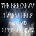 I Wanna Help (45 Thieves REMIX) [feat. Deuce] [Explicit]