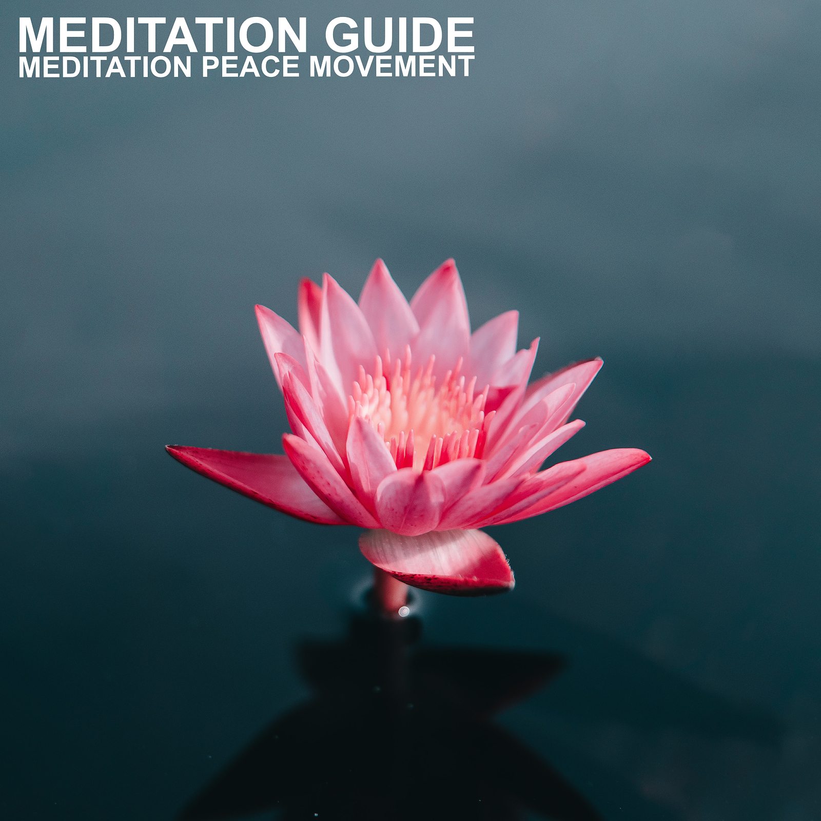 Meditation Peace Movement - Restful