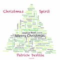 Christmas Spirit