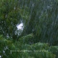 Healing Music Collective、Healing Music Playlist、Easy Listening Instrumental Music - Sound Rain
