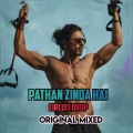 Exclusive Music - Pathan Zinda Hai - Circuit Drop (Original  Mixed)