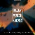 Nash、ArewaHitsMusic、De Viper、Xareems、Lilbhig、Zanga Man、3laize Tck - Kalan Wacce Nakeso