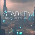 In Love During Flight