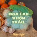 Thanh Ngân - Hoa Cau Vườn Trầu