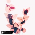 Michelle Ray、Lost.、Pop Mage - SNAP (Acoustic)