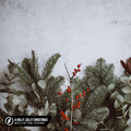 Michelle Ray、FOUND.、Guitar Mage - A Holly Jolly Christmas (Acoustic)