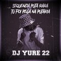 DJ Yure 22 - SEQUENCIA PUTA RARA VS TU FOI PEGA NA PUTARIA (Explicit)