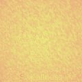 Antonin Masr - Sweatiness