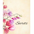 Evamma、Club Dogo、Bukahara、Sean Koch - Secrets (feat. Club Dogo Bukahara & Sean Koch)(Explicit)