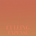 Fonso Cian - Impairs Adjusting