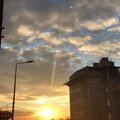 Roty - SİYAH KARA PARALAR