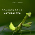 Calmar la Ansiedad、Música para Dormir Con Relajantes Sonidos de la Naturaleza、Ruidos de la Selva - Chapoteo De Los Rápidos