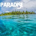 Taq - Paradise