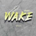 Wake (降速版)