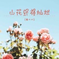 山花终将灿烂 (BGM)