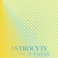 Oron Smer - Carton Catastrophe