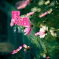 上官飞燕 - 秋花泪