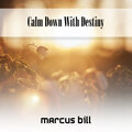 Calm Down With Destiny