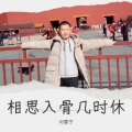 刘雪宁 - 相思入骨几时休