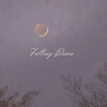Falling Down