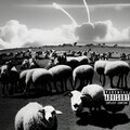 INFLAMMATION (with Jon Connor) [Explicit]