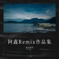 不枉世上做撇捺 (是阿鑫吖 remix)