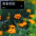 赵意扬 - 青春赞歌