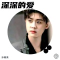 孙葛亮 - 深深的爱
