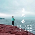 习新斌 - 回不去