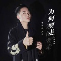 为何要走 (DJ默涵版)