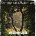 Rain Relaxation - Raindrops Relaxation 2023 Pt. 6