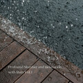 Profound Slumber and Relaxation with Rain Vol. 1