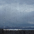 Flourishing Rain at Night Vol. 1