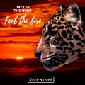 Feel the Fire