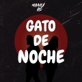 manu rg、kevoxx - Gato De Noche (Remix)