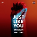 HIDDN、Lake - Just Like You