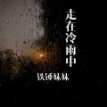 铁锤妹妹 - 走在冷雨中