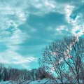 Dawn