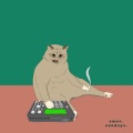 SMUV - morning do