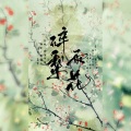 皖兮YUAKER - 碎雨梨花