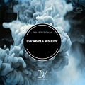 I Wanna Know (Original Mix)