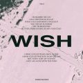 Wish (Radio Edit)