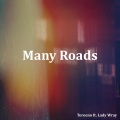 Tereeno、Lady Wray - Many Roads